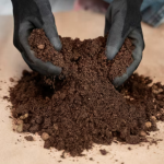 Premium quality organic vermicompost fertilizer