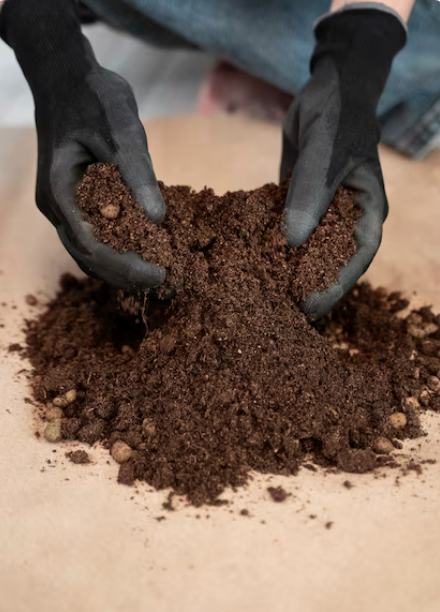 Premium quality organic vermicompost fertilizer