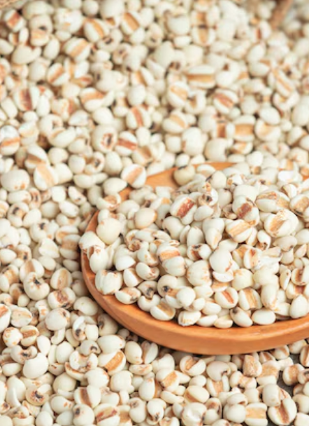 Premium Indian Bajra (Pearl Millet)